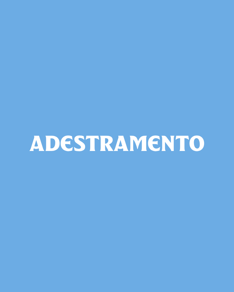 Adestramento